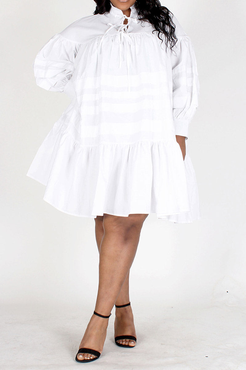 Long Sleeve Ruffled Neck Dress