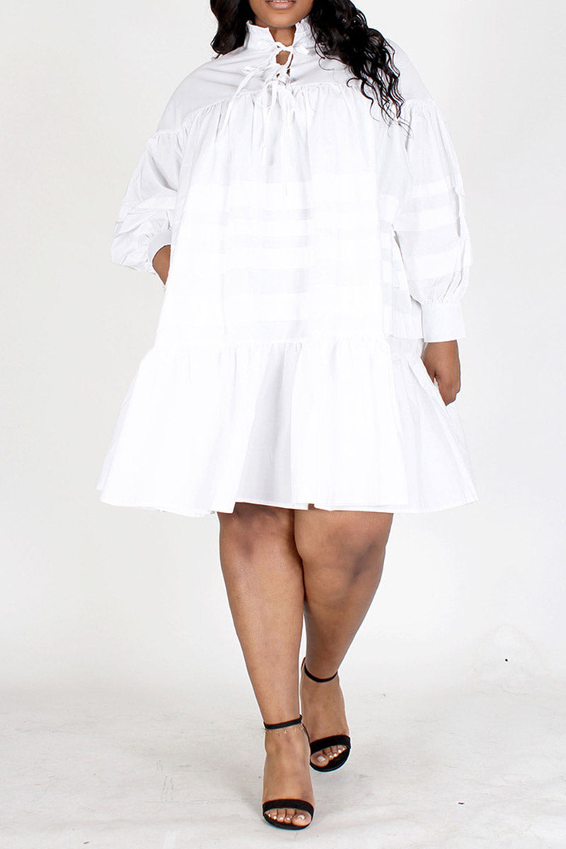 Long Sleeve Ruffled Neck Dress