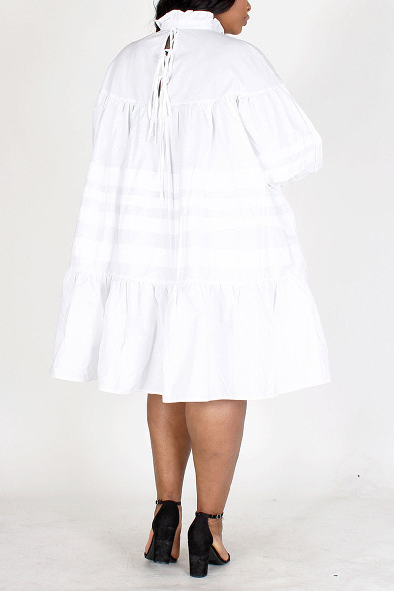 Long Sleeve Ruffled Neck Dress